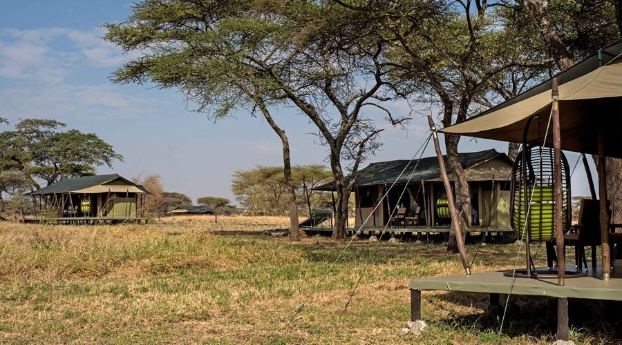 Ole Serai Serengeti 11