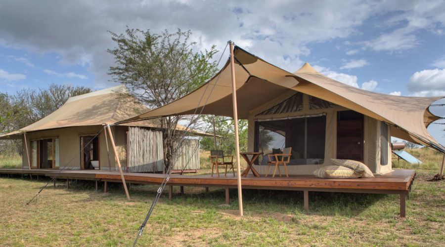 Sayari Camp Serengeti 20