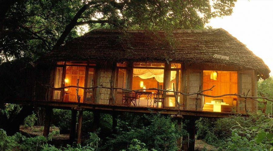 Tree Lodge Manyara 11
